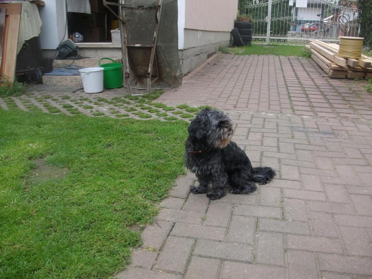 Landferienhaus Pension Erika Muehlhausen  Bilik gambar